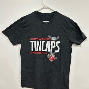 Minor league baseball Fort Wayne TinCaps Baseball Graphic Tee - Black